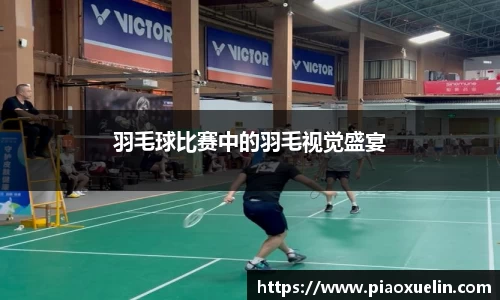 羽毛球比赛中的羽毛视觉盛宴
